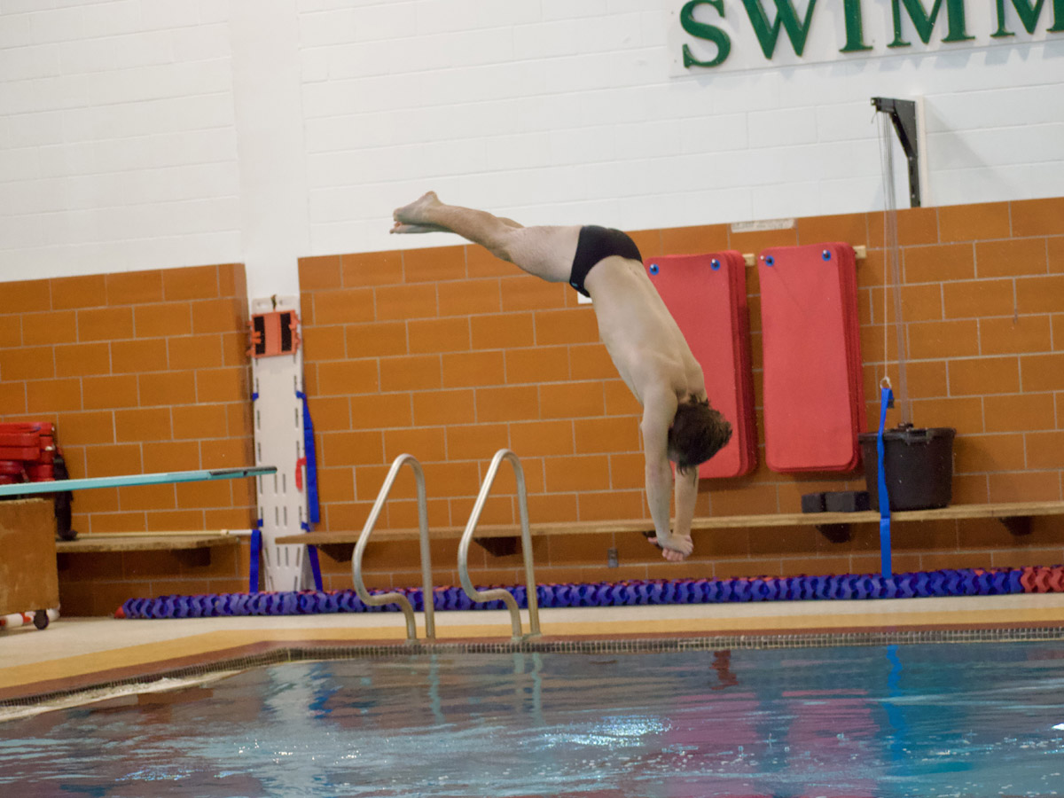 A man dives into a swimming pool.