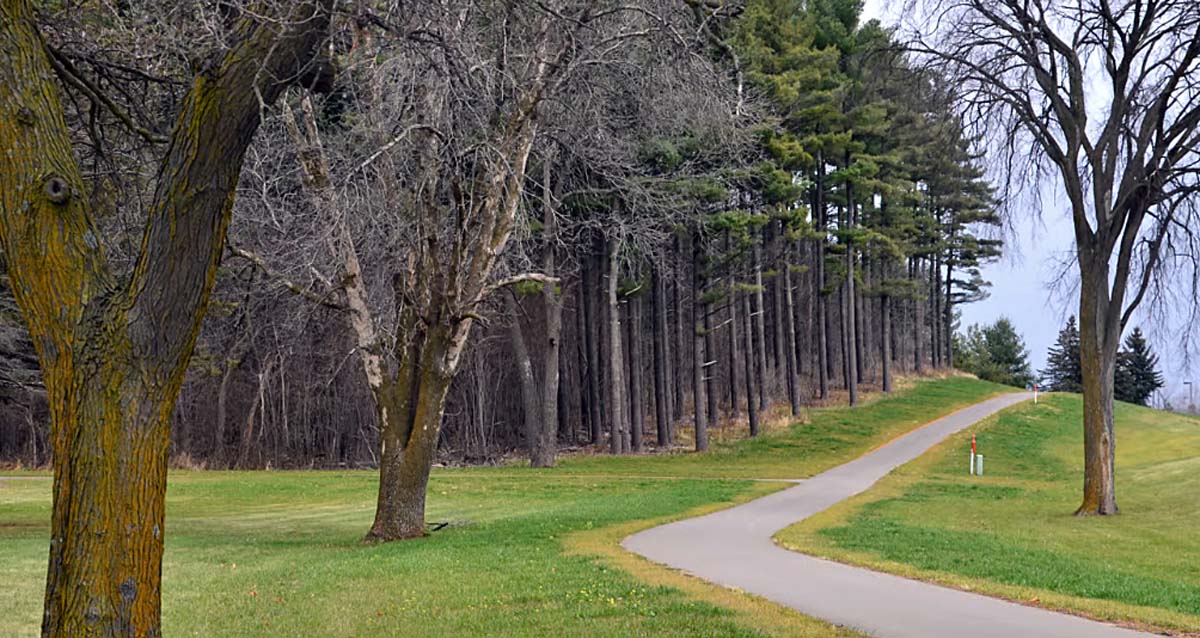 Trail going past a forest.