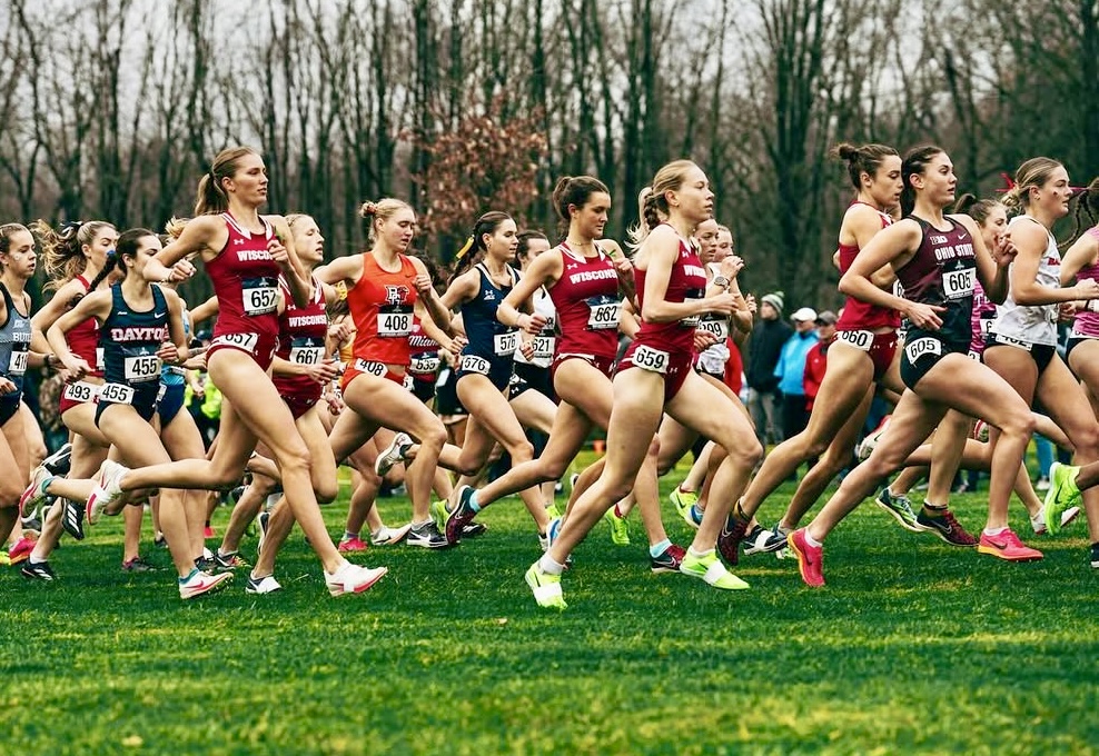 The start of a women's collegiate cross country race