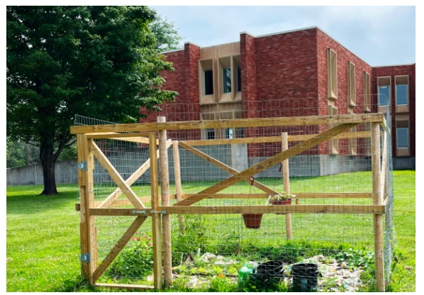 Youth Garden at Dunn County 
