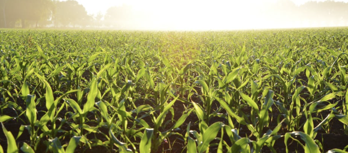 Farmland Owners: Survey Input Requested