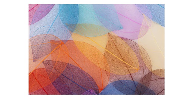 Art Music Society Presents Fall Recital