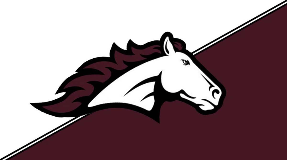 Menomonie High School Mustang logo. Horse with a maroon mane on a triangle of maroon color.