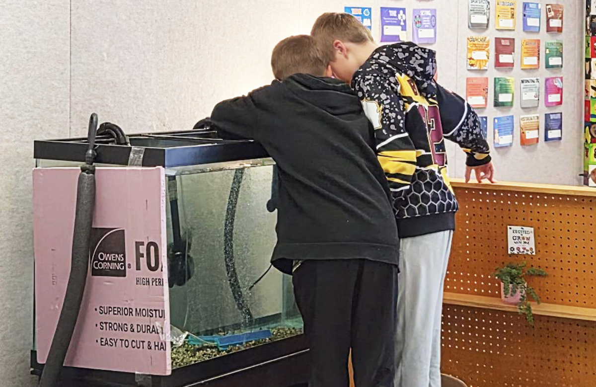 Students conducting water quality tests during a Trout in the Classroom experience in Courtney Budden’s class at Knapp Elementary School.               