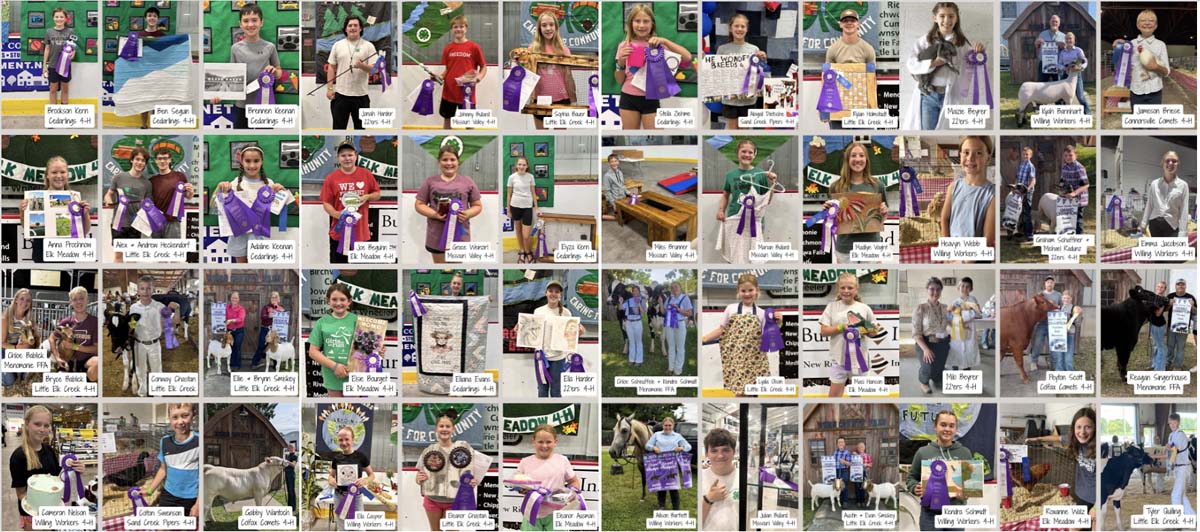 Prize winners at the 2026 Dunn County Fair.