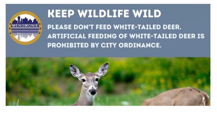 City Ordinance Reminder: Please Don’t Feed the Deer